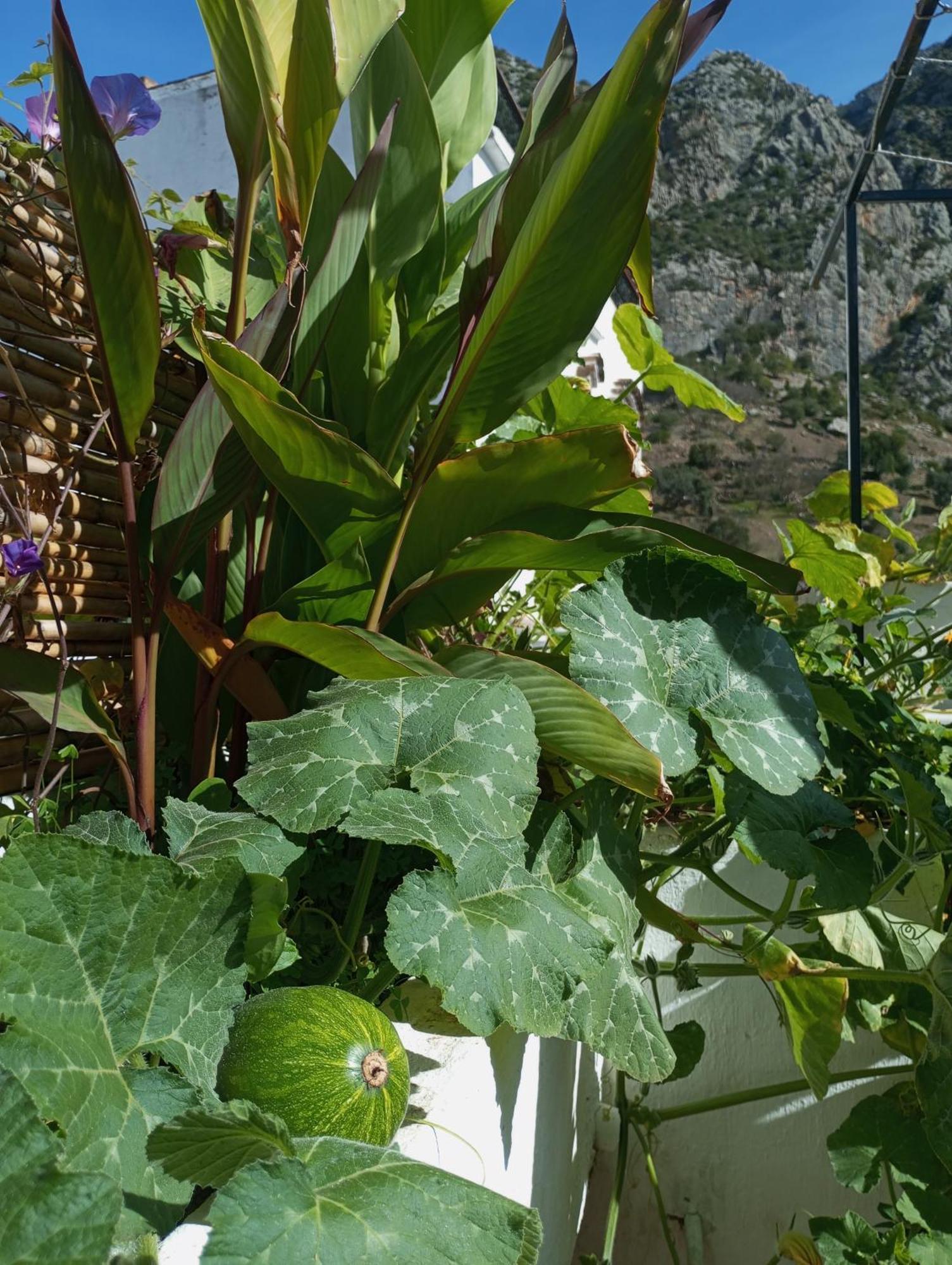 Dar Sbaa Bed and Breakfast Chefchaouen Exteriör bild